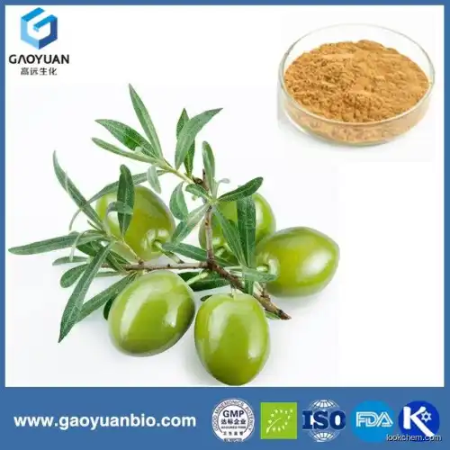 olive leaf powder with new products is supplied by China supplier xi'an gaoyuan factory