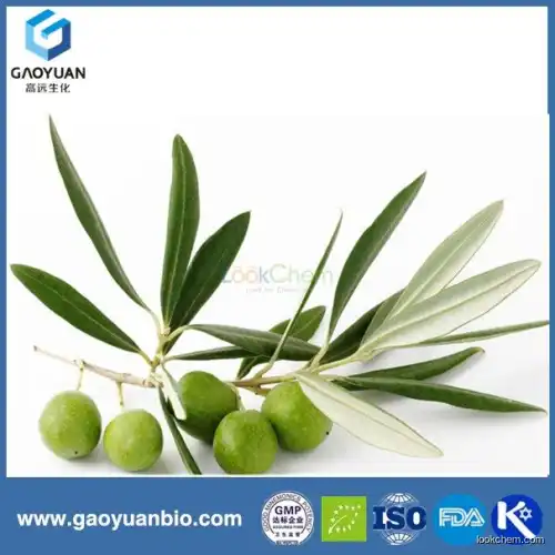 olive leaf powder with new products is supplied by China supplier xi'an gaoyuan factory