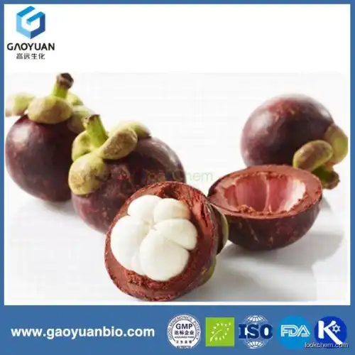 mangosteen extract powder