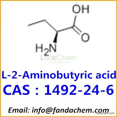Manufacturer supply L-2-Aminobutyric aCld, CAS：1492-24-6 from Fandachem
