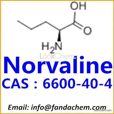 High quality of L(+)-Norvaline, CAS：6600-40-4 from Fandachem