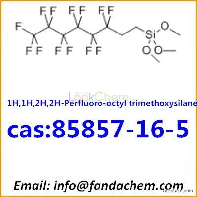 Top quality of trimethoxy(3,3,4,4,5,5,6,6,7,7,8,8,8-tridecafluorooctyl)silane,cas:85857-16-5 from Fandachem