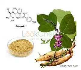 100% pure natural Kudzu root extract 40% Puerarin by HPLC