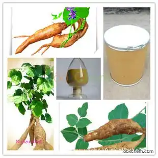 Factory supply Kudzu root extract 40% Puerarin by HPLC