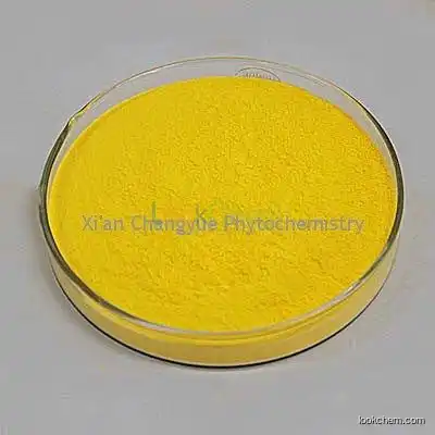 100%naturl Curcumin sold directly by the leader company of xi'an changyue in China