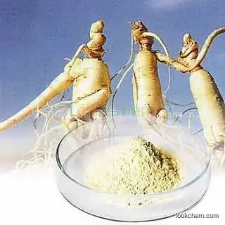 High quality ginseng extract powder ginsenosides 80%