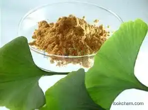 High quality Ginkgo biloba Leaf extract 24% flavone Gingko Biloba L.