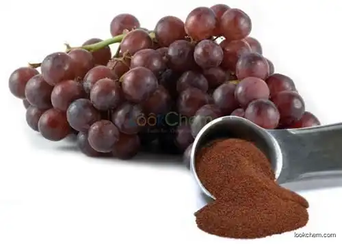 100% pure natural grape seed extract 95%Procyanidins