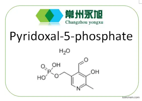 USFDA&GMP facility / Supplement / Pyridoxal-5-phosphate