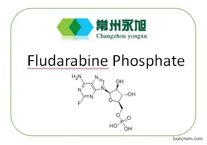 USFDA&GMP facility / API / Fludarabine phosphate / GMP IN PROCESS