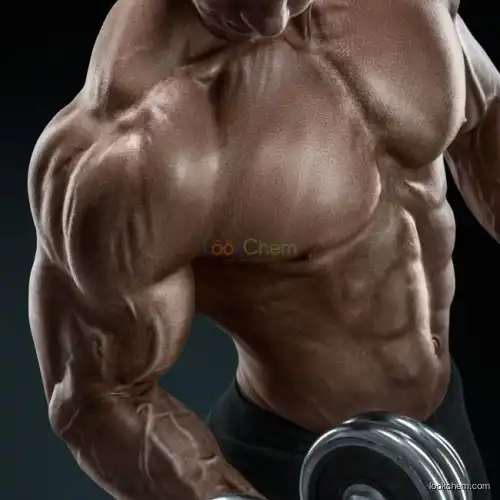 Best price Testosterone Enanthate