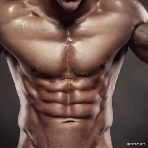 98% prity Steroids/ Myostatin/GDF-8
