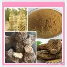 Factory supply Desertliving Cistanche Herb Extract,Cistanche tubulosa Extract