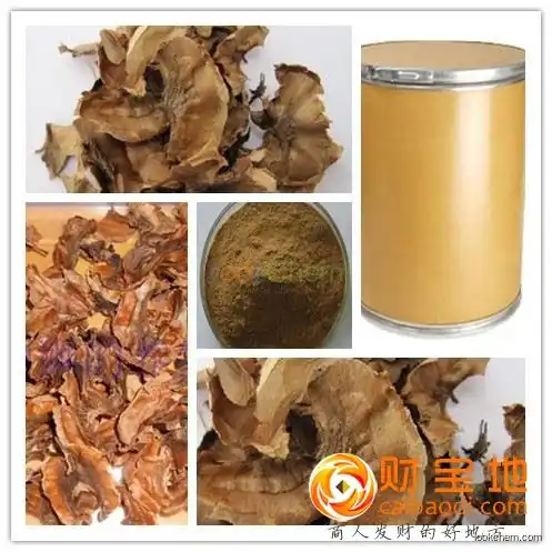 Factory supply Walnut Extract/Walnut kernel extract/Semen Juglandis