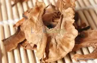 100% pure natural Walnut Extract/Walnut kernel extract/Semen Juglandis