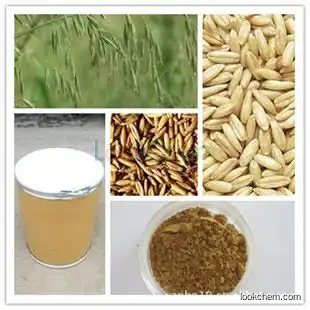 100% Pure natural Oat Extract Beta Glucan/ Avena Sativa Extract