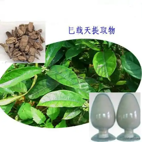 100% pure natural Morinda officinalis extract,Bacopin extract