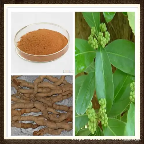 High quality Morinda officinalis extract,Bacopin extract