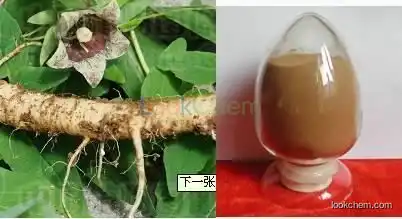 Factory supply Codonopsis Pilosula Extract/Radix Codonopsis
