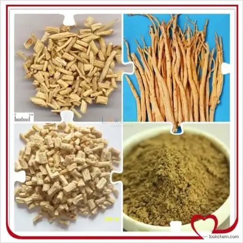 Factory supply Codonopsis Pilosula Extract/Radix Codonopsis