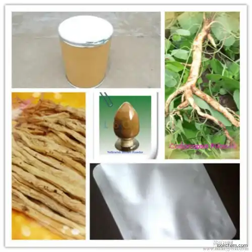 Factory supply Codonopsis Pilosula Extract/Radix Codonopsis