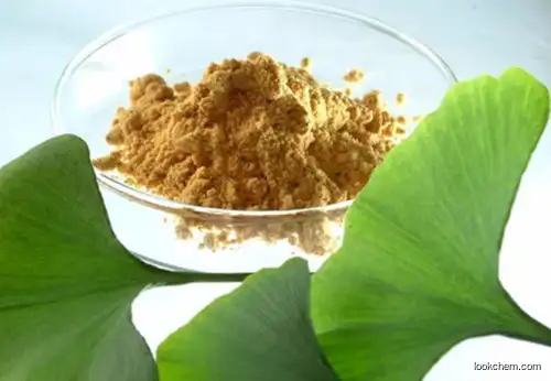 High Quality Ginkgo Biloba by Ethanol or Acetone(90045-36-6)