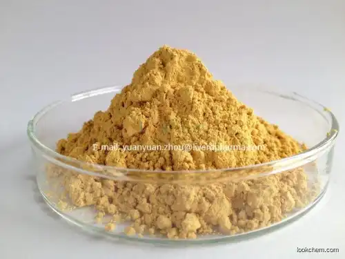 Silymarin extracted by Acetone(65666-07-1)