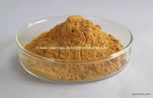 Silymarin extracted by Ethyl Acetate