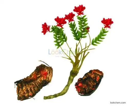 Factory supply Rhodiola rosea extract 1% Rhodiola glucoside