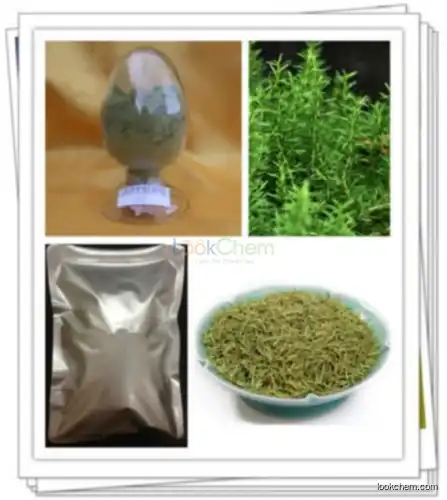 High quality Rosemary Extract Carnosic Acid/ Rosmarinic Acid