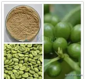 High quality Chlorogenic acid 50% Coffee bean extract