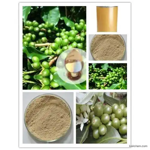 High quality Chlorogenic acid 50% Coffee bean extract