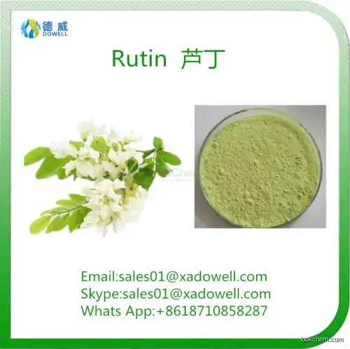 Plant Extract Powder Rutin CAS No:153-18-4 EP98%Min/NF11 95%Min/DAB 98%Min(153-18-4)