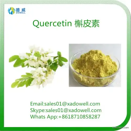 Natural Herbal Extract Quercetin HPLC95%/UV98%(6151-25-3)