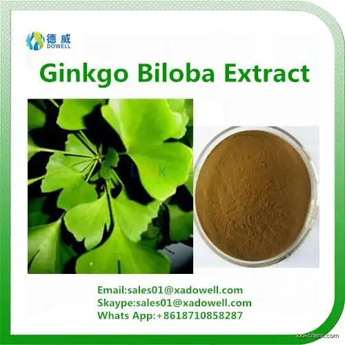 Natural Ginkgo Biloba Extract 24%Flavones(15291-75-5)