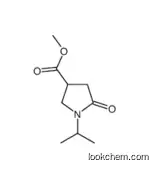 methyl 5-oxo-1-propan-2-ylpyrrolidine-3-carboxylate