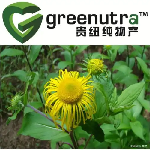 Inula Helenium Extract Powder