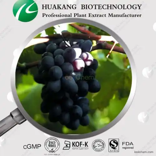 CAS 501-36-0 Resveratrol Grape Skin Extract 5%-20% Resveratrol(501-36-0)