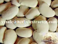 White Kidney Bean Extract, 1%Phaseolamin,CAS NO.:85085-22-9, natural weight lose ingredient, Shaanxi Yongyuan Bio-Tech