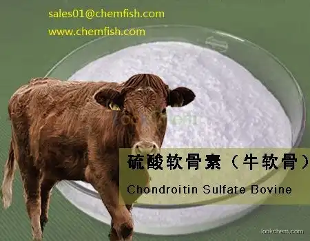 factory Chondroitin Sulfate (Ex Shark/Bovine/Porcine/Chicken))
