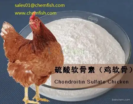 Manufacture Chondroitin Sulfate