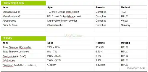 Ginkgo Biloba Extract