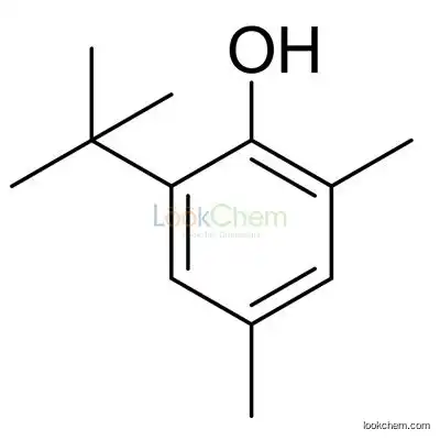 China Antioxidant 99% Topanol A