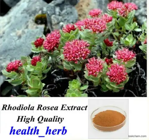 Rhodiola Rosea Extract