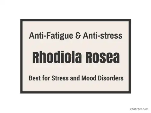 Rhodiola Rosea Extract