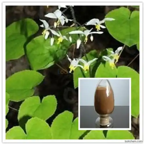 Epimedium Extract Icariin Powder GMP factory