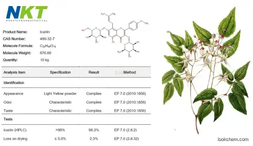 Epimedium Extract Icariin Powder GMP factory