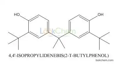 4,4’-(1-methylethylidene)bis(2-(1,1-dimethylethyl)-pheno/79-96-9
