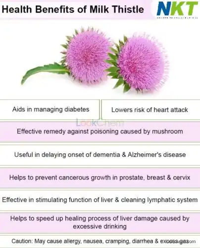 Milk Thistle Extract Silymarin