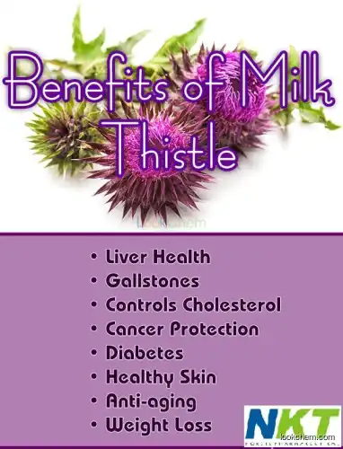 Milk Thistle Extract Silymarin